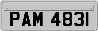 PAM4831