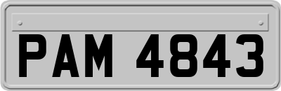 PAM4843
