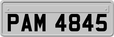PAM4845