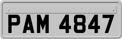 PAM4847