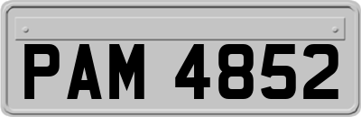 PAM4852