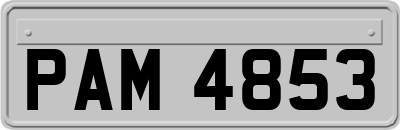 PAM4853