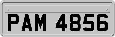 PAM4856