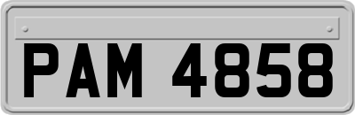 PAM4858
