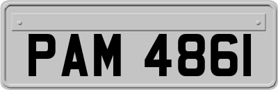 PAM4861