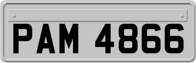PAM4866