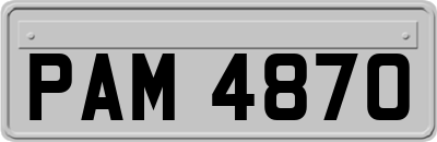 PAM4870