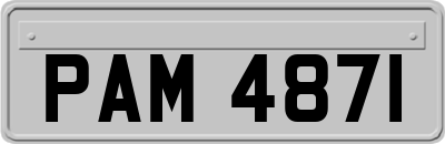PAM4871