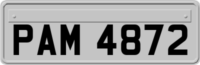 PAM4872