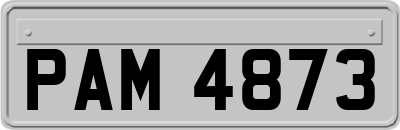 PAM4873