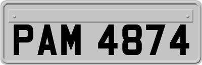 PAM4874