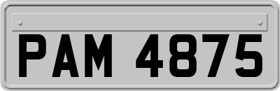 PAM4875