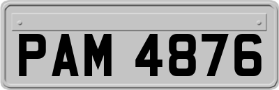 PAM4876