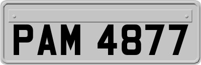 PAM4877
