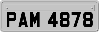 PAM4878