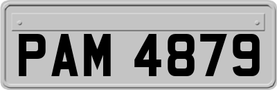 PAM4879