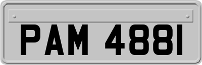 PAM4881