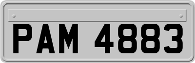 PAM4883