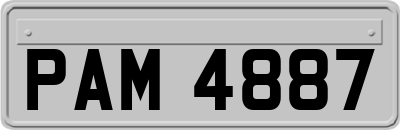 PAM4887