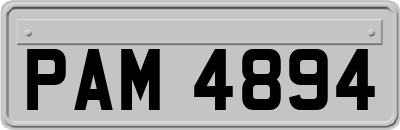 PAM4894