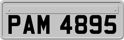 PAM4895