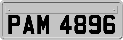 PAM4896
