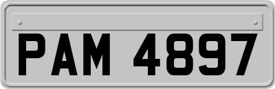 PAM4897
