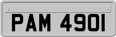 PAM4901