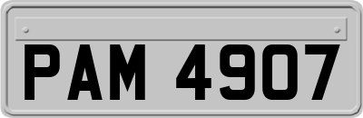 PAM4907