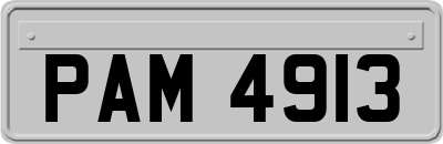 PAM4913