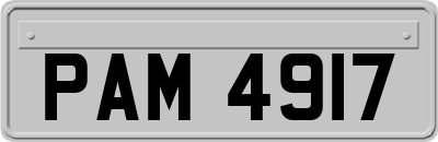 PAM4917