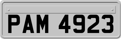 PAM4923