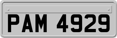 PAM4929