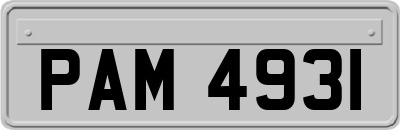 PAM4931