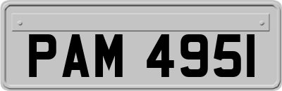 PAM4951