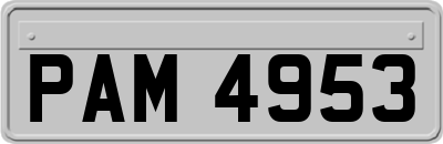 PAM4953