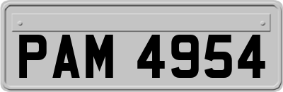 PAM4954