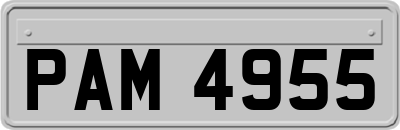 PAM4955