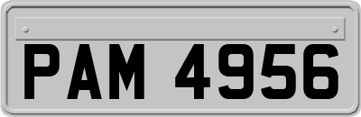 PAM4956
