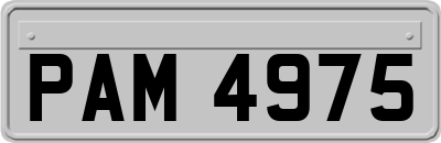 PAM4975