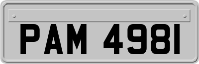 PAM4981