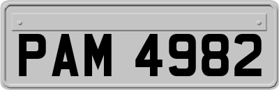PAM4982