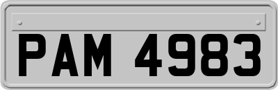 PAM4983