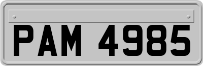 PAM4985