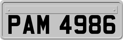 PAM4986
