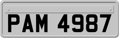 PAM4987