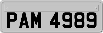 PAM4989