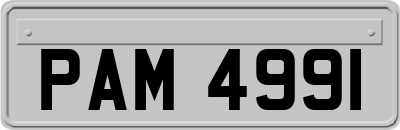 PAM4991