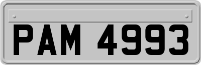 PAM4993