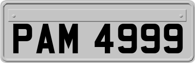 PAM4999